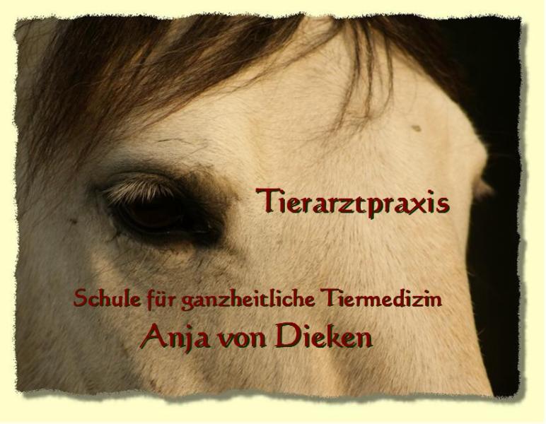 Hier geht�s weiter !